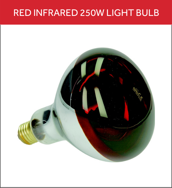 Red bulb
